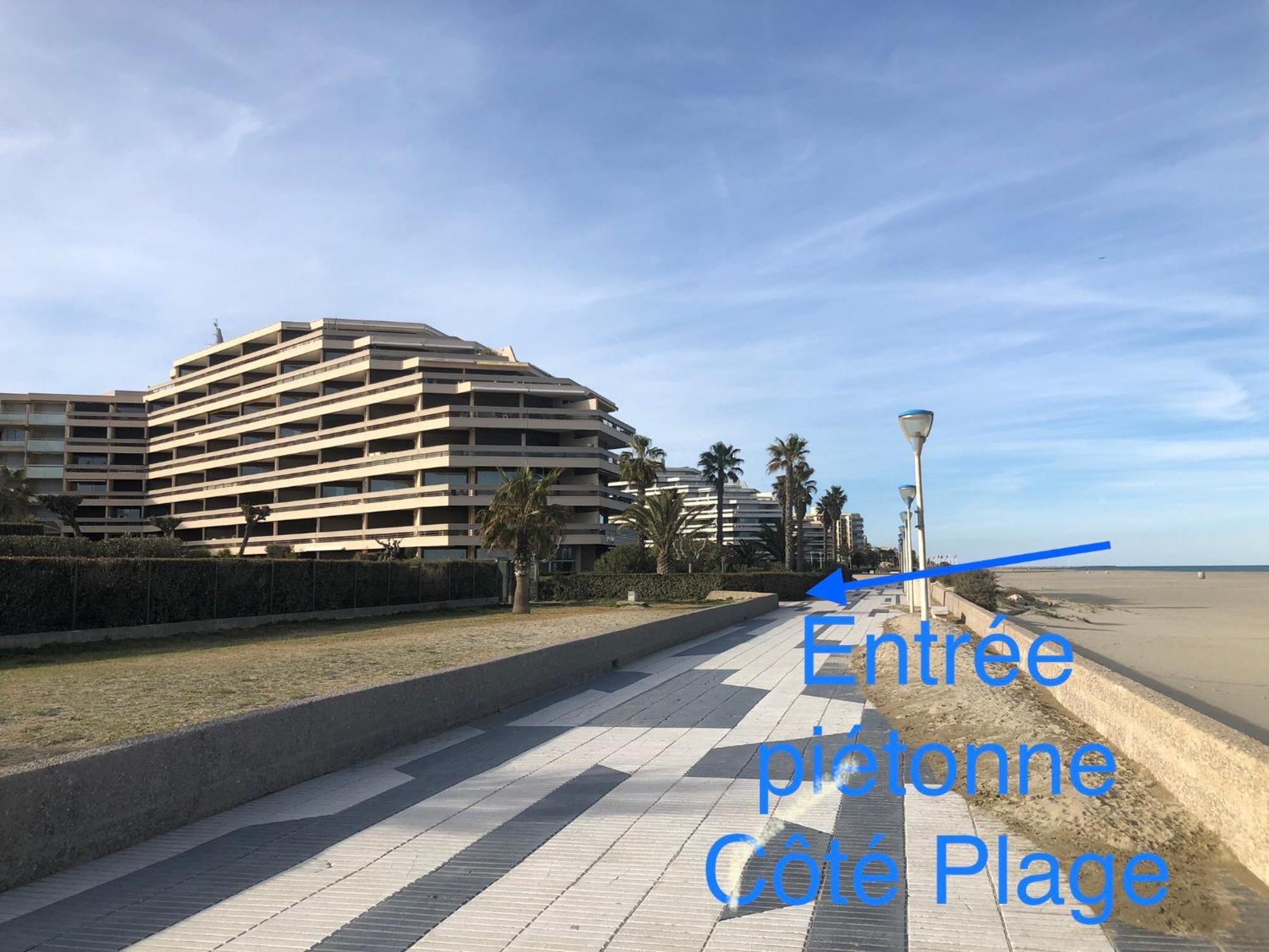 Le Jardin De La Plage - T2 - Terrasse Jardin 30M2 - Piscine - Clim- Wifi -Parking カネ エクステリア 写真